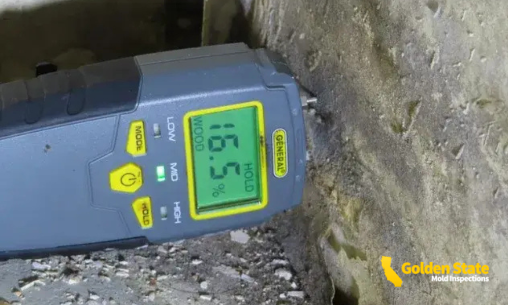 How Renovations Can Trigger Hidden Mold Problems